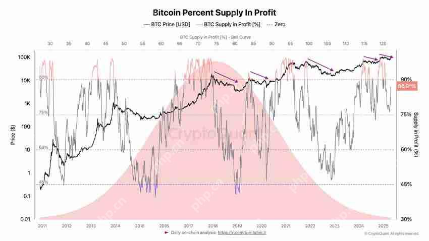比特币(BTC)供应指标接近90%,分析师:目标价11.5万美元